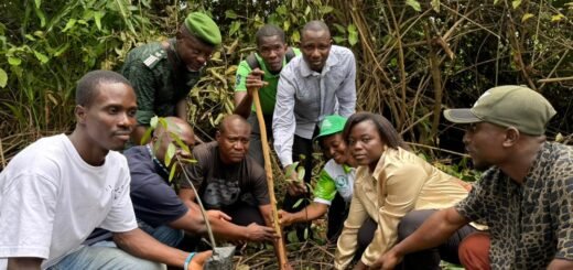 Journée internationale de la mangrove